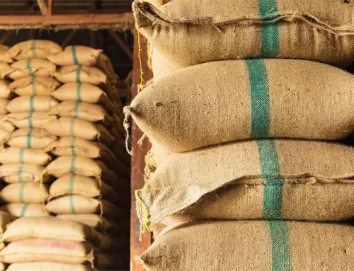 İşletmeler ve Tüketiciler Jütü Neden Çevre Dostu Bir Malzeme Olarak Seviyor